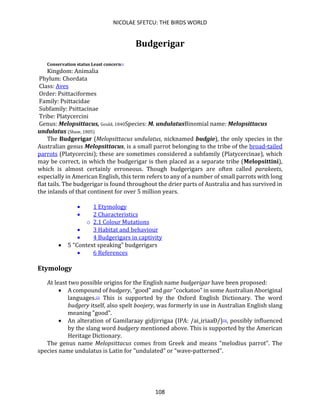 NICOLAE SFETCU: THE BIRDS WORLD
108
Budgerigar
Conservation status Least concern[1]
Kingdom: Animalia
Phylum: Chordata
Class: Aves
Order: Psittaciformes
Family: Psittacidae
Subfamily: Psittacinae
Tribe: Platycercini
Genus: Melopsittacus, Gould, 1840Species: M. undulatusBinomial name: Melopsittacus
undulatus (Shaw, 1805)
The Budgerigar (Melopsittacus undulatus, nicknamed budgie), the only species in the
Australian genus Melopsittacus, is a small parrot belonging to the tribe of the broad-tailed
parrots (Platycercini); these are sometimes considered a subfamily (Platycercinae), which
may be correct, in which the budgerigar is then placed as a separate tribe (Melopsittini),
which is almost certainly erroneous. Though budgerigars are often called parakeets,
especially in American English, this term refers to any of a number of small parrots with long
flat tails. The budgerigar is found throughout the drier parts of Australia and has survived in
the inlands of that continent for over 5 million years.
• 1 Etymology
• 2 Characteristics
o 2.1 Colour Mutations
• 3 Habitat and behaviour
• 4 Budgerigars in captivity
• 5 "Context speaking" budgerigars
• 6 References
Etymology
At least two possible origins for the English name budgerigar have been proposed:
• A compound of budgery, "good" and gar "cockatoo" in some Australian Aboriginal
languages.[2] This is supported by the Oxford English Dictionary. The word
budgery itself, also spelt boojery, was formerly in use in Australian English slang
meaning "good".
• An alteration of Gamilaraay gidjirrigaa (IPA: /ai_iriaaÐ/)[3], possibly influenced
by the slang word budgery mentioned above. This is supported by the American
Heritage Dictionary.
The genus name Melopsittacus comes from Greek and means "melodius parrot". The
species name undulatus is Latin for "undulated" or "wave-patterned".
 