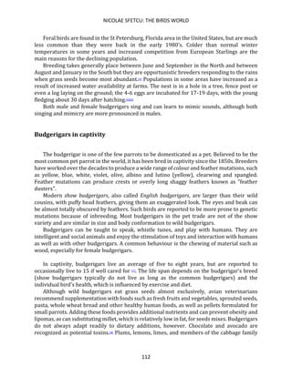 NICOLAE SFETCU: THE BIRDS WORLD
112
Feral birds are found in the St Petersburg, Florida area in the United States, but are much
less common than they were back in the early 1980's. Colder than normal winter
temperatures in some years and increased competition from European Starlings are the
main reasons for the declining population.
Breeding takes generally place between June and September in the North and between
August and January in the South but they are opportunistic breeders responding to the rains
when grass seeds become most abundant.[4] Populations in some areas have increased as a
result of increased water availability at farms. The nest is in a hole in a tree, fence post or
even a log laying on the ground; the 4-6 eggs are incubated for 17-19 days, with the young
fledging about 30 days after hatching.[6][4]
Both male and female budgerigars sing and can learn to mimic sounds, although both
singing and mimicry are more pronounced in males.
Budgerigars in captivity
The budgerigar is one of the few parrots to be domesticated as a pet. Believed to be the
most common pet parrot in the world, it has been bred in captivity since the 1850s. Breeders
have worked over the decades to produce a wide range of colour and feather mutations, such
as yellow, blue, white, violet, olive, albino and lutino (yellow), clearwing and spangled.
Feather mutations can produce crests or overly long shaggy feathers known as "feather
dusters".
Modern show budgerigars, also called English budgerigars, are larger than their wild
cousins, with puffy head feathers, giving them an exaggerated look. The eyes and beak can
be almost totally obscured by feathers. Such birds are reported to be more prone to genetic
mutations because of inbreeding. Most budgerigars in the pet trade are not of the show
variety and are similar in size and body conformation to wild budgerigars.
Budgerigars can be taught to speak, whistle tunes, and play with humans. They are
intelligent and social animals and enjoy the stimulation of toys and interaction with humans
as well as with other budgerigars. A common behaviour is the chewing of material such as
wood, especially for female budgerigars.
In captivity, budgerigars live an average of five to eight years, but are reported to
occasionally live to 15 if well cared for [7]. The life span depends on the budgerigar's breed
(show budgerigars typically do not live as long as the common budgerigars) and the
individual bird's health, which is influenced by exercise and diet.
Although wild budgerigars eat grass seeds almost exclusively, avian veterinarians
recommend supplementation with foods such as fresh fruits and vegetables, sprouted seeds,
pasta, whole wheat bread and other healthy human foods, as well as pellets formulated for
small parrots. Adding these foods provides additional nutrients and can prevent obesity and
lipomas, as can substituting millet, which is relatively low in fat, for seeds mixes. Budgerigars
do not always adapt readily to dietary additions, however. Chocolate and avocado are
recognized as potential toxins.[8] Plums, lemons, limes, and members of the cabbage family
 