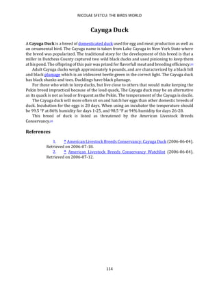 NICOLAE SFETCU: THE BIRDS WORLD
114
Cayuga Duck
A Cayuga Duck is a breed of domesticated duck used for egg and meat production as well as
an ornamental bird. The Cayuga name is taken from Lake Cayuga in New York State where
the breed was popularized. The traditional story for the development of this breed is that a
miller in Dutchess County captured two wild black ducks and used pinioning to keep them
at his pond. The offspring of this pair was prized for flavorfull meat and breeding efficiency.[1]
Adult Cayuga ducks weigh approximately 6 pounds, and are characterized by a black bill
and black plumage which is an iridescent beetle green in the correct light. The Cayuga duck
has black shanks and toes. Ducklings have black plumage.
For those who wish to keep ducks, but live close to others that would make keeping the
Pekin breed impractical because of the loud quack, The Cayuga duck may be an alternative
as its quack is not as loud or frequent as the Pekin. The temperament of the Cayuga is docile.
The Cayuga duck will more often sit on and hatch her eggs than other domestic breeds of
duck. Incubation for the eggs is 28 days. When using an incubator the temperature should
be 99.5 °F at 86% humidity for days 1-25, and 98.5 °F at 94% humidity for days 26-28.
This breed of duck is listed as threatened by the American Livestock Breeds
Conservancy.[2]
References
1. ^ American Livestock Breeds Conservancy: Cayuga Duck (2006-06-04).
Retrieved on 2006-07-18.
2. ^ American Livestock Breeds Conservancy Watchlist (2006-06-04).
Retrieved on 2006-07-12.
 