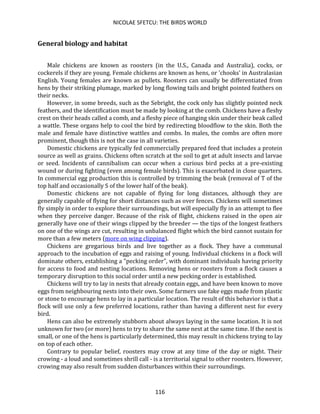 NICOLAE SFETCU: THE BIRDS WORLD
116
General biology and habitat
Male chickens are known as roosters (in the U.S., Canada and Australia), cocks, or
cockerels if they are young. Female chickens are known as hens, or 'chooks' in Australasian
English. Young females are known as pullets. Roosters can usually be differentiated from
hens by their striking plumage, marked by long flowing tails and bright pointed feathers on
their necks.
However, in some breeds, such as the Sebright, the cock only has slightly pointed neck
feathers, and the identification must be made by looking at the comb. Chickens have a fleshy
crest on their heads called a comb, and a fleshy piece of hanging skin under their beak called
a wattle. These organs help to cool the bird by redirecting bloodflow to the skin. Both the
male and female have distinctive wattles and combs. In males, the combs are often more
prominent, though this is not the case in all varieties.
Domestic chickens are typically fed commercially prepared feed that includes a protein
source as well as grains. Chickens often scratch at the soil to get at adult insects and larvae
or seed. Incidents of cannibalism can occur when a curious bird pecks at a pre-existing
wound or during fighting (even among female birds). This is exacerbated in close quarters.
In commercial egg production this is controlled by trimming the beak (removal of T of the
top half and occasionally S of the lower half of the beak).
Domestic chickens are not capable of flying for long distances, although they are
generally capable of flying for short distances such as over fences. Chickens will sometimes
fly simply in order to explore their surroundings, but will especially fly in an attempt to flee
when they perceive danger. Because of the risk of flight, chickens raised in the open air
generally have one of their wings clipped by the breeder — the tips of the longest feathers
on one of the wings are cut, resulting in unbalanced flight which the bird cannot sustain for
more than a few meters (more on wing clipping).
Chickens are gregarious birds and live together as a flock. They have a communal
approach to the incubation of eggs and raising of young. Individual chickens in a flock will
dominate others, establishing a "pecking order", with dominant individuals having priority
for access to food and nesting locations. Removing hens or roosters from a flock causes a
temporary disruption to this social order until a new pecking order is established.
Chickens will try to lay in nests that already contain eggs, and have been known to move
eggs from neighbouring nests into their own. Some farmers use fake eggs made from plastic
or stone to encourage hens to lay in a particular location. The result of this behavior is that a
flock will use only a few preferred locations, rather than having a different nest for every
bird.
Hens can also be extremely stubborn about always laying in the same location. It is not
unknown for two (or more) hens to try to share the same nest at the same time. If the nest is
small, or one of the hens is particularly determined, this may result in chickens trying to lay
on top of each other.
Contrary to popular belief, roosters may crow at any time of the day or night. Their
crowing - a loud and sometimes shrill call - is a territorial signal to other roosters. However,
crowing may also result from sudden disturbances within their surroundings.
 