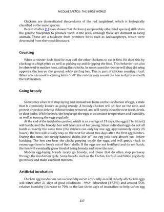 NICOLAE SFETCU: THE BIRDS WORLD
117
Chickens are domesticated descendants of the red junglefowl, which is biologically
classified as the same species.
Recent studies [1] have shown that chickens (and possibly other bird species) still retain
the genetic blueprints to produce teeth in the jaws, although these are dormant in living
animals. These are a holdover from primitive birds such as Archaeopteryx, which were
descended from theropod dinosaurs.
Courting
When a rooster finds food he may call the other chickens to eat it first. He does this by
clucking in a high pitch as well as picking up and dropping the food. This behavior can also
be observed in mother hens, calling their chicks. In some cases the rooster will drag the wing
opposite the hen on the ground, while circling her. This is part of chicken courting ritual.
When a hen is used to coming to his "call" the rooster may mount the hen and proceed with
the fertilization.
Going broody
Sometimes a hen will stop laying and instead will focus on the incubation of eggs, a state
that is commonly known as going broody. A broody chicken will sit fast on the nest, and
protest or peck in defense if disturbed or removed, and will rarely leave the nest to eat, drink,
or dust bathe. While broody, the hen keeps the eggs at a constant temperature and humidity,
as well as turning the eggs regularly.
At the end of the incubation period, which is an average of 21 days, the eggs (if fertilized)
will hatch, and the broody hen will take care of her young. Since individual eggs do not all
hatch at exactly the same time (the chicken can only lay one egg approximately every 25
hours), the hen will usually stay on the nest for about two days after the first egg hatches.
During this time, the newly-hatched chicks live off the egg yolk they absorb just before
hatching. The hen can hear the chicks peeping inside the eggs, and will gently cluck to
encourage them to break out of their shells. If the eggs are not fertilized and do not hatch,
the hen will eventually grow tired of being broody and leave the nest.
Modern egg-laying breeds rarely go broody, and those that do often stop part-way
through the incubation cycle. Some breeds, such as the Cochin, Cornish and Silkie, regularly
go broody and make excellent mothers.
Artificial incubation
Chicken egg incubation can successfully occur artificially as well. Nearly all chicken eggs
will hatch after 21 days of good conditions - 99.5° fahrenheit (37.5°C) and around 55%
relative humidity (increase to 70% in the last three days of incubation to help soften egg
 