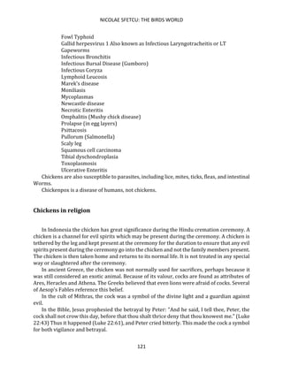 NICOLAE SFETCU: THE BIRDS WORLD
121
Fowl Typhoid
Gallid herpesvirus 1 Also known as Infectious Laryngotracheitis or LT
Gapeworms
Infectious Bronchitis
Infectious Bursal Disease (Gumboro)
Infectious Coryza
Lymphoid Leucosis
Marek's disease
Moniliasis
Mycoplasmas
Newcastle disease
Necrotic Enteritis
Omphalitis (Mushy chick disease)
Prolapse (in egg layers)
Psittacosis
Pullorum (Salmonella)
Scaly leg
Squamous cell carcinoma
Tibial dyschondroplasia
Toxoplasmosis
Ulcerative Enteritis
Chickens are also susceptible to parasites, including lice, mites, ticks, fleas, and intestinal
Worms.
Chickenpox is a disease of humans, not chickens.
Chickens in religion
In Indonesia the chicken has great significance during the Hindu cremation ceremony. A
chicken is a channel for evil spirits which may be present during the ceremony. A chicken is
tethered by the leg and kept present at the ceremony for the duration to ensure that any evil
spirits present during the ceremony go into the chicken and not the family members present.
The chicken is then taken home and returns to its normal life. It is not treated in any special
way or slaughtered after the ceremony.
In ancient Greece, the chicken was not normally used for sacrifices, perhaps because it
was still considered an exotic animal. Because of its valour, cocks are found as attributes of
Ares, Heracles and Athena. The Greeks believed that even lions were afraid of cocks. Several
of Aesop's Fables reference this belief.
In the cult of Mithras, the cock was a symbol of the divine light and a guardian against
evil.
In the Bible, Jesus prophesied the betrayal by Peter: "And he said, I tell thee, Peter, the
cock shall not crow this day, before that thou shalt thrice deny that thou knowest me." (Luke
22:43) Thus it happened (Luke 22:61), and Peter cried bitterly. This made the cock a symbol
for both vigilance and betrayal.
 