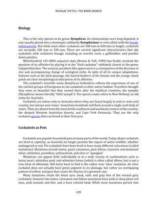 NICOLAE SFETCU: THE BIRDS WORLD
129
Biology
This is the only species in its genus Nymphicus. Its relationships were long disputed; it
was usually placed into a monotypic subfamily Nymphicinae or even allied with the broad-
tailed parrots. But while most other cockatoos are 500 mm to 600 mm in length, cockatiels
are normally 300 mm to 330 mm. There are several significant characteristics that ally
cockatiels with cockatoos though, including an erectile crest, a gallbladder, and powder
down patches.
Mitochondrial 12S rRNA sequence data (Brown & Toft, 1999) has finally resolved the
question of its affinities by placing it in the "dark cockatoo" subfamily closest to the genus
Calyptorhynchus. The unusual, parakeet-like appearance is a consequence of the decrease in
size and accompanying change of ecological niche. In spite of all its unique adaptations,
features such as the dark plumage, the barred feathers of the female and the orange cheek
patch are clear morphological indications of its affinities.
The cockatiel's scientific name Nymphicus hollandicus reflects the experience of one of
the earliest groups of Europeans to see cockatiels in their native habitat. Travellers thought
they were so beautiful that they named them after the mythical creatures, the nymphs
(Nymphicus means literally "little nymph"). The species name refers to New Holland, an old
name for Australia.
Cockatiels are native only to Australia where they are found largely in arid or semi-arid
country, but always near water. Sometimes hundreds will flock around a single such body of
water. They are absent from the most fertile southwest and southeast corners of the country,
the deepest Western Australian deserts, and Cape York Peninsula. They are the only
cockatoo species that can breed in their first year.
Cockatiels as Pets
Cockatiels are popular household pets in many parts of the world. Today all pet cockatiels
are bred in captivity, as Australia no longer permits the export of native wildlife, whether
endangered or not. Pet cockatiels have been bred to have many different colorations (called
mutations). Mutations include lutino, pearl, cinnamon, pied, fallow, recessive and dominant
silver, whiteface, pastelface, yellowcheek, and olive or 'spangled.'
Mutations can appear both individually or in a wide variety of combinations such as
lutino pearl, whiteface pied, and whiteface lutino (which is often called albino, but is not a
true form of albinism). Still fairly hard to find is the rather new 'olive' mutation. An olive
cockatiel does not actually have green pigment to its plumage, but rather an overlapping
pattern of yellow and grey that create the illusion of a greenish cast.
Many mutations retain the black eyes, beak, nails and grey feet of the normal grey
cockatiels, however the lutino, cinnamon and fallow mutations have pink to deep plum red
eyes, pink toenails and feet, and a horn colored beak. While most mutations persist into
 