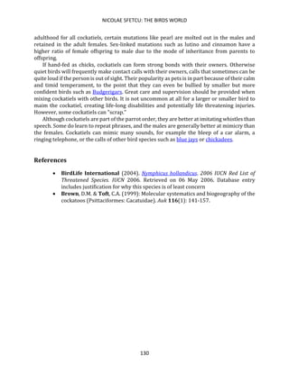 NICOLAE SFETCU: THE BIRDS WORLD
130
adulthood for all cockatiels, certain mutations like pearl are molted out in the males and
retained in the adult females. Sex-linked mutations such as lutino and cinnamon have a
higher ratio of female offspring to male due to the mode of inheritance from parents to
offspring.
If hand-fed as chicks, cockatiels can form strong bonds with their owners. Otherwise
quiet birds will frequently make contact calls with their owners, calls that sometimes can be
quite loud if the person is out of sight. Their popularity as pets is in part because of their calm
and timid temperament, to the point that they can even be bullied by smaller but more
confident birds such as Budgerigars. Great care and supervision should be provided when
mixing cockatiels with other birds. It is not uncommon at all for a larger or smaller bird to
maim the cockatiel, creating life-long disabilities and potentially life threatening injuries.
However, some cockatiels can "scrap."
Although cockatiels are part of the parrot order, they are better at imitating whistles than
speech. Some do learn to repeat phrases, and the males are generally better at mimicry than
the females. Cockatiels can mimic many sounds, for example the bleep of a car alarm, a
ringing telephone, or the calls of other bird species such as blue jays or chickadees.
References
• BirdLife International (2004). Nymphicus hollandicus. 2006 IUCN Red List of
Threatened Species. IUCN 2006. Retrieved on 06 May 2006. Database entry
includes justification for why this species is of least concern
• Brown, D.M. & Toft, C.A. (1999): Molecular systematics and biogeography of the
cockatoos (Psittaciformes: Cacatuidae). Auk 116(1): 141-157.
 
