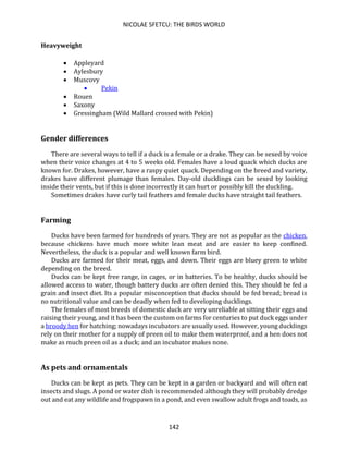 NICOLAE SFETCU: THE BIRDS WORLD
142
Heavyweight
• Appleyard
• Aylesbury
• Muscovy
• Pekin
• Rouen
• Saxony
• Gressingham (Wild Mallard crossed with Pekin)
Gender differences
There are several ways to tell if a duck is a female or a drake. They can be sexed by voice
when their voice changes at 4 to 5 weeks old. Females have a loud quack which ducks are
known for. Drakes, however, have a raspy quiet quack. Depending on the breed and variety,
drakes have different plumage than females. Day-old ducklings can be sexed by looking
inside their vents, but if this is done incorrectly it can hurt or possibly kill the duckling.
Sometimes drakes have curly tail feathers and female ducks have straight tail feathers.
Farming
Ducks have been farmed for hundreds of years. They are not as popular as the chicken,
because chickens have much more white lean meat and are easier to keep confined.
Nevertheless, the duck is a popular and well known farm bird.
Ducks are farmed for their meat, eggs, and down. Their eggs are bluey green to white
depending on the breed.
Ducks can be kept free range, in cages, or in batteries. To be healthy, ducks should be
allowed access to water, though battery ducks are often denied this. They should be fed a
grain and insect diet. Its a popular misconception that ducks should be fed bread; bread is
no nutritional value and can be deadly when fed to developing ducklings.
The females of most breeds of domestic duck are very unreliable at sitting their eggs and
raising their young, and it has been the custom on farms for centuries to put duck eggs under
a broody hen for hatching; nowadays incubators are usually used. However, young ducklings
rely on their mother for a supply of preen oil to make them waterproof, and a hen does not
make as much preen oil as a duck; and an incubator makes none.
As pets and ornamentals
Ducks can be kept as pets. They can be kept in a garden or backyard and will often eat
insects and slugs. A pond or water dish is recommended although they will probably dredge
out and eat any wildlife and frogspawn in a pond, and even swallow adult frogs and toads, as
 