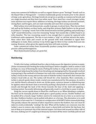 NICOLAE SFETCU: THE BIRDS WORLD
148
many non-commercial hobbyists as well as organic farmers grow "heritage" breeds such as
the Royal Palm or Naragansett -- varieties traditionally grown on farms prior to the advent
of large-scale agriculture. Heritage breeds do not grow as quickly as commercial breeds and
are single-breasted and thus have less white meat. Their meat has a much stronger turkey
taste and does not require flavor additives or brining. Heritage turkeys are disease resistant,
strong flyers and foragers, and can mate naturally and raise their young successfully.
Male turkeys strut and demonstrate, usually in groups, to attract hens. They fan out their
tail, puff up the feathers on their backs, and drag their primary flight feathers on the ground
to produce a "scraping" sound. Part of the demonstration includes gobbling and producing a
"puff" sound followed by a very low resonating "boing" that sounds like a rubber band in an
echo chamber. The low resonating sound is low enough that it cannot be captured with
traditional audio equipment. The hen in turn makes a "yelp" or call that attracts the males.
Hens select their mate and crouch on the ground with neck extended to signal their
willingness to mate. Hens continue to lay fertile eggs for three to four weeks from just one
mating. However, when given the opportunity hens will mate everyday.
Some commercial turkey hens occasionally produce young from unfertilized eggs in a
process called parthenogenesis.
Most Domesticated turkeys are grain fed.
Butchering
To kill a live turkey, withhold food for a day to help ensure the digestive system is empty.
(Some recommend also feeding the turkey hard liquor before slaughter, both to sedate it and
perhaps as a way of flavoring the meat.) Putting the turkey in a bag, with one corner cut out
for the head, helps keep the turkey from thrashing and damaging itself or the people involved
in preparing it. One method is to hammer two nails into a stump and bend them, then put the
turkey's head on the stump and turn the nails to hold the turkey's head still, then remove the
turkey's head with an axe. The turkey will thrash for a few moments. More commonly, a
turkey is placed upside down inside a metal cone manufactured for this purpose, its neck is
cut, and the blood is allowed to drain out. At this point, a process known as debraining may
be applied, where the brain stem is severed by pushing a sharp knife or screwdriver in to the
mouth and through the back of the throat towards the base of the skull and applying a
twisting motion. Successful debraining will generally result in a bird that is easier to pluck.
Hang the carcass upside down to bleed for a half hour or so. When bleeding is complete,
the bird can be manually plucked, which gives a good quality carcass. Smaller feathers can
be pulled off in a bunch; larger feathers need to be removed one at a time so as not to tear
the skin. Stubborn feathers can be pulled with pliers or a forceps. The alternative is to scald
the carcass in hot water for 1-3 minutes at a temperature of 60-80ºC before manual plucking.
This greatly reduces the amount of labor required to remove the feathers, but care must be
taken to avoid accidentally "cooking" the skin. When all the feathers are removed, rinse the
turkey's anus to remove any residue, then insert a sharp knife just below the hip bone, but
not so deep as to puncture any of the internal organs. Cut down and around on either side of
the anus, making sure it's angled up to keep any excretion off the meat. Carefully pull out and
 