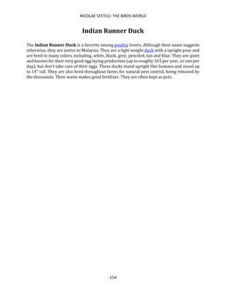 NICOLAE SFETCU: THE BIRDS WORLD
154
Indian Runner Duck
The Indian Runner Duck is a favorite among poultry lovers. Although their name suggests
otherwise, they are native to Malaysia. They are a light weight duck with a upright pose and
are bred in many colors, including, white, black, grey, penciled, tan and blue. They are quiet
and known for their very good egg laying production (up to roughly 365 per year, or one per
day), but don't take care of their eggs. These ducks stand upright like humans and stand up
to 14" tall. They are also bred throughout farms for natural pest control, being released by
the thousands. Their waste makes good fertilizer. They are often kept as pets.
 