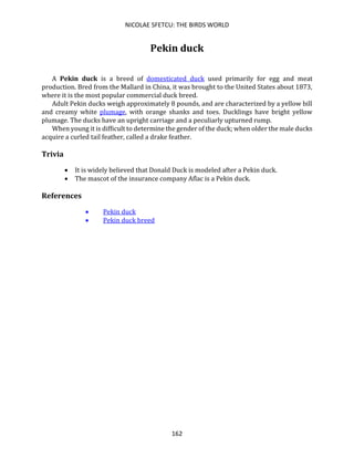 NICOLAE SFETCU: THE BIRDS WORLD
162
Pekin duck
A Pekin duck is a breed of domesticated duck used primarily for egg and meat
production. Bred from the Mallard in China, it was brought to the United States about 1873,
where it is the most popular commercial duck breed.
Adult Pekin ducks weigh approximately 8 pounds, and are characterized by a yellow bill
and creamy white plumage, with orange shanks and toes. Ducklings have bright yellow
plumage. The ducks have an upright carriage and a peculiarly upturned rump.
When young it is difficult to determine the gender of the duck; when older the male ducks
acquire a curled tail feather, called a drake feather.
Trivia
• It is widely believed that Donald Duck is modeled after a Pekin duck.
• The mascot of the insurance company Aflac is a Pekin duck.
References
• Pekin duck
• Pekin duck breed
 
