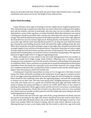 NICOLAE SFETCU: THE BIRDS WORLD
171
always be provided with food. Being small and active birds, Zebra Finches have a very high
metabolism and cannot survive for any length of time without food.
Zebra Finch breeding
A pair of finches show signs of wanting to nest by sudden bursts of gathering behaviors.
They will pull strings or plant leaves that they can reach. If they have nothing at all to gather,
they will use feathers and bits of seed husks. Any item they can use to build a nest will be
deposited in a corner of the cage floor, or in their food dish. When these behaviors are noticed
a mating pair should be provided with a sturdy nest shell about the size of a large apple or
orange. This shell should always be placed in the highest possible corner of the cage, opposite
the food dish but near the normal night perch. Nesting finches will abandon a perch if it is
across the cage with the male showing that he prefers to sit attop the nest while the female
lays. During the nest building, however, both will spend the night cuddling inside the nest.
When they accept the nest shell and begin using it each night, they should be provided with
an ample supply of very soft bits of string and leaves. They prefer items that are only a couple
of inches long and will used nearly any type and color of soft material. The nest shell will be
packed with everything they can reach for at least a week before laying begins. The egg clutch
(amount of eggs) ranges from 3-12 eggs per egg laying period.
Males and females are very similar in size, but easily distinguished from one another as
the males usually have bright orange cheek feathers. Offspring from a similary colored
nesting pair may sometimes vary from the parents coloration, with nestlings from plain grey
to completely white. These variations are usually due to mixed breeding between finch types
somewhere down the family line especially in pet store birds. However, the orange cheeks
are a stubborn indication that a young Zebra Finch is indeed a male and the cheeks begin to
appear when the young are about two months old.
A nesting pair of parents may produce as many as 5 to 12 eggs over a few days of active
laying. The chicks will hatch according to the laying time of each egg. It is common to have
one or two eggs remaining unhatched as the parents begin the task of feeding the nestlings.
Nests should be left completely alone after the egg laying begins, and until the young begin
to venture out on their own. The time from laying until a fledgling adventures outside will
vary with each clutch, but it is a good rule of thumb that good eggs will hatch within two
weeks of laying and young will begin to venture out within about three or four weeks of
hatching. Be prepared for all the eggs to hatch, and the nest to be a very busy, crowded house
for the entire nesting time. Chicks that do hatch very often thrive, even in a very crowded
nest. Zebra Finch are usually excellent parents and will readily take turns sitting on the nest
and bringing food to the young.
Do not remove the nest from the cage until all the young adventure out freely and join
the parents in perching for the night. But owners should not leave the nest for more than a
very few weeks after the family moves out, as the mother finch will begin to nest for a new
clutch very quickly. While the female is laying, only her mate will be allowed in the nest.
Allowing the pair to start a new family while the first clutch is still in the cage will overly
 