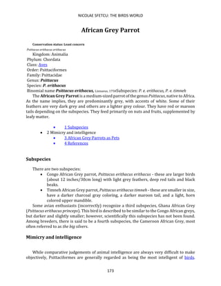 NICOLAE SFETCU: THE BIRDS WORLD
173
African Grey Parrot
Conservation status: Least concern
Psittacus erithacus erithacus
Kingdom: Animalia
Phylum: Chordata
Class: Aves
Order: Psittaciformes
Family: Psittacidae
Genus: Psittacus
Species: P. erithacus
Binomial name Psittacus erithacus, Linnaeus, 1758Subspecies: P. e. erithacus, P. e. timneh
The African Grey Parrot is a medium-sized parrot of the genus Psittacus, native to Africa.
As the name implies, they are predominantly grey, with accents of white. Some of their
feathers are very dark grey and others are a lighter grey colour. They have red or maroon
tails depending on the subspecies. They feed primarily on nuts and fruits, supplemented by
leafy matter.
• 1 Subspecies
• 2 Mimicry and intelligence
• 3 African Grey Parrots as Pets
• 4 References
Subspecies
There are two subspecies:
• Congo African Grey parrot, Psittacus erithacus erithacus - these are larger birds
(about 12 inches/30cm long) with light grey feathers, deep red tails and black
beaks.
• Timneh African Grey parrot, Psittacus erithacus timneh - these are smaller in size,
have a darker charcoal gray coloring, a darker maroon tail, and a light, horn
colored upper mandible.
Some avian enthusiasts (incorrectly) recognize a third subspecies, Ghana African Grey
(Psittacus erithacus princeps). This bird is described to be similar to the Congo African greys,
but darker and slightly smaller; however, scientifically this subspecies has not been found.
Among breeders, there is said to be a fourth subspecies, the Cameroon African Grey, most
often referred to as the big silvers.
Mimicry and intelligence
While comparative judgements of animal intelligence are always very difficult to make
objectively, Psittaciformes are generally regarded as being the most intelligent of birds.
 