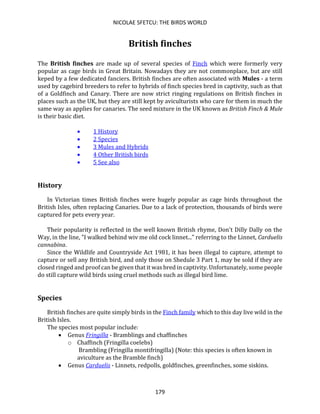 NICOLAE SFETCU: THE BIRDS WORLD
179
British finches
The British finches are made up of several species of Finch which were formerly very
popular as cage birds in Great Britain. Nowadays they are not commonplace, but are still
keped by a few dedicated fanciers. British finches are often associated with Mules - a term
used by cagebird breeders to refer to hybrids of finch species bred in captivity, such as that
of a Goldfinch and Canary. There are now strict ringing regulations on British finches in
places such as the UK, but they are still kept by aviculturists who care for them in much the
same way as applies for canaries. The seed mixture in the UK known as British Finch & Mule
is their basic diet.
• 1 History
• 2 Species
• 3 Mules and Hybrids
• 4 Other British birds
• 5 See also
History
In Victorian times British finches were hugely popular as cage birds throughout the
British Isles, often replacing Canaries. Due to a lack of protection, thousands of birds were
captured for pets every year.
Their popularity is reflected in the well known British rhyme, Don't Dilly Dally on the
Way, in the line, "I walked behind wiv me old cock linnet..." referring to the Linnet, Carduelis
cannabina.
Since the Wildlife and Countryside Act 1981, it has been illegal to capture, attempt to
capture or sell any British bird, and only those on Shedule 3 Part 1, may be sold if they are
closed ringed and proof can be given that it was bred in captivity. Unfortunately, some people
do still capture wild birds using cruel methods such as illegal bird lime.
Species
British finches are quite simply birds in the Finch family which to this day live wild in the
British Isles.
The species most popular include:
• Genus Fringilla - Bramblings and chaffinches
o Chaffinch (Fringilla coelebs)
Brambling (Fringilla montifringilla) (Note: this species is often known in
aviculture as the Bramble finch)
• Genus Carduelis - Linnets, redpolls, goldfinches, greenfinches, some siskins.
 