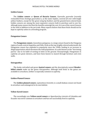 NICOLAE SFETCU: THE BIRDS WORLD
190
Golden Conure
The Golden conure or Queen of Bavaria Conure, Guarouba guarouba (recently
reclassified from Aratinga guarouba) is, as the name implies, covered all over with bright
yellow feathers, except for the green wing-tip feathers and the greyish-horn-colored beak.
Golden conures are among the most expensive conures both to purchase and to care for,
although many owners feel that the benefits outweigh the cost. It is one of the rarest Conures
in the wild in addition to the pet trade. Many experts believe that these birds should not be
kept in captivity unless in a breeding program.
Patagonian Conure
The Patagonian conure, Cyanoliseus patagonus, is a large conure found in the Patagonia
region of south-central Argentina and Chile. Drab on the top, brighly colored underneath, the
Patagonian conure has exploded in popularity since the 1990s, leading to an increase in
illegal importation which threatens the wild populations. It is also known as the "burrowing
parrot," due to its habit of nesting in holes in the ground. Unsurprisingly, Patagonians in
captivity are great chewers, and have been known to munch through furniture and even
walls.
Enicognathus
The dusky red-tailed and green Austral conure and the descriptively named Slender-
billed conure make up the genus Enicognathus. Although both birds in the genus are
available in aviculture, neither is especially common in captivity.
Golden-Plumed Conure
The Golden-plumed conure, Leptosittaca branickii, is a small Andean conure not found
in aviculture and endangered in its own habitat.
Yellow-Eared Conure
The exceedingly rare Yellow-eared conure or Ognorhynchus icterotis of Colombia and
Ecuador was never common in aviculture and has not successfully bred in captivity.
 