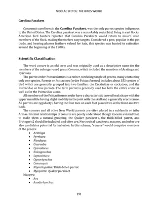 NICOLAE SFETCU: THE BIRDS WORLD
191
Carolina Parakeet
Conuropsis carolinensis, the Carolina Parakeet, was the only parrot species indigenous
to the United States. The Carolina parakeet was a remarkably social bird, living in vast flocks.
American bird hunters reported that Carolina Parakeets would return to mourn dead
members of the flock, making themselves easy targets. Considered a pest, popular in the pet
trade, and bearing plumes feathers valued for hats, this species was hunted to extinction
around the beginning of the 1900's.
Scientific Classification
The word conure is an old term and was originally used as a descriptive name for the
members of the nolonger-used genus Conurus, which included the members of Aratinga and
Pyrrhura.
The parrot order Psittaciformes is a rather confusing tangle of genera, many containing
only one species. Parrots or Psittacines (order Psittaciformes) includes about 353 species of
bird which are generally grouped into two families: the Cacatuidae or cockatoos, and the
Psittacidae or true parrots. The term parrot is generally used for both the entire order as
well as for the Psittacidae alone.
All members of the Psittaciformes order have a characteristic curved beak shape with the
upper mandible having slight mobility in the joint with the skull and a generally erect stance.
All parrots are zygodactyl, having the four toes on each foot placed two at the front and two
back.
The conures and all other New World parrots are often placed in a subfamily or tribe
Arinae. Internal relationships of conures are poorly understood though it seems evident that,
to make them a natural grouping, the Quaker parakeet1, the thick-billed parrot, and
Brotogeris2 should be included, and often are. Neotropical parakeets, macaws, and other are
also candidates potential for inclusion. In this scheme, "conure" would comprise members
of the genera:
• Aratinga
• Pyrrhura
• Nandayus
• Guarouba
• Cyanoliseus
• Enicognathus
• Leptosittaca
• Ognorhynchus
• Conuropsis
• Rhynchopsitta: Thick-billed parrot
• Myopsitta: Quaker parakeet
Macaws:
• Ara
• Anodorhynchus
 