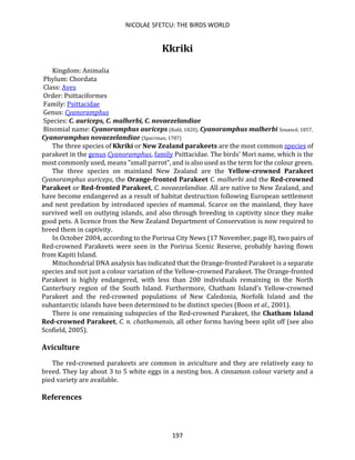 NICOLAE SFETCU: THE BIRDS WORLD
197
Kkriki
Kingdom: Animalia
Phylum: Chordata
Class: Aves
Order: Psittaciformes
Family: Psittacidae
Genus: Cyanoramphus
Species: C. auriceps, C. malherbi, C. novaezelandiae
Binomial name: Cyanoramphus auriceps (Kuhl, 1820), Cyanoramphus malherbi Souancé, 1857,
Cyanoramphus novaezelandiae (Sparrman, 1787)
The three species of Kkriki or New Zealand parakeets are the most common species of
parakeet in the genus Cyanoramphus, family Psittacidae. The birds' Mori name, which is the
most commonly used, means "small parrot", and is also used as the term for the colour green.
The three species on mainland New Zealand are the Yellow-crowned Parakeet
Cyanoramphus auriceps, the Orange-fronted Parakeet C. malherbi and the Red-crowned
Parakeet or Red-fronted Parakeet, C. novaezelandiae. All are native to New Zealand, and
have become endangered as a result of habitat destruction following European settlement
and nest predation by introduced species of mammal. Scarce on the mainland, they have
survived well on outlying islands, and also through breeding in captivity since they make
good pets. A licence from the New Zealand Department of Conservation is now required to
breed them in captivity.
In October 2004, according to the Porirua City News (17 November, page 8), two pairs of
Red-crowned Parakeets were seen in the Porirua Scenic Reserve, probably having flown
from Kapiti Island.
Mitochondrial DNA analysis has indicated that the Orange-fronted Parakeet is a separate
species and not just a colour variation of the Yellow-crowned Parakeet. The Orange-fronted
Parakeet is highly endangered, with less than 200 individuals remaining in the North
Canterbury region of the South Island. Furthermore, Chatham Island's Yellow-crowned
Parakeet and the red-crowned populations of New Caledonia, Norfolk Island and the
subantarctic islands have been determined to be distinct species (Boon et al., 2001).
There is one remaining subspecies of the Red-crowned Parakeet, the Chatham Island
Red-crowned Parakeet, C. n. chathamensis, all other forms having been split off (see also
Scofield, 2005).
Aviculture
The red-crowned parakeets are common in aviculture and they are relatively easy to
breed. They lay about 3 to 5 white eggs in a nesting box. A cinnamon colour variety and a
pied variety are available.
References
 
