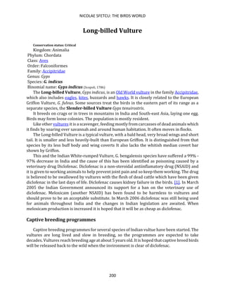 NICOLAE SFETCU: THE BIRDS WORLD
200
Long-billed Vulture
Conservation status: Critical
Kingdom: Animalia
Phylum: Chordata
Class: Aves
Order: Falconiformes
Family: Accipitridae
Genus: Gyps
Species: G. indicus
Binomial name: Gyps indicus (Scopoli, 1786)
The Long-billed Vulture, Gyps indicus, is an Old World vulture in the family Accipitridae,
which also includes eagles, kites, buzzards and hawks. It is closely related to the European
Griffon Vulture, G. fulvus. Some sources treat the birds in the eastern part of its range as a
separate species, the Slender-billed Vulture Gyps tenuirostris.
It breeds on crags or in trees in mountains in India and South-east Asia, laying one egg.
Birds may form loose colonies. The population is mostly resident.
Like other vultures it is a scavenger, feeding mostly from carcasses of dead animals which
it finds by soaring over savannah and around human habitation. It often moves in flocks.
The Long-billed Vulture is a typical vulture, with a bald head, very broad wings and short
tail. It is smaller and less heavily-built than European Griffon. It is distinguished from that
species by its less buff body and wing coverts It also lacks the whitish median covert bar
shown by Griffon.
This and the Indian White-rumped Vulture, G. bengalensis species have suffered a 99% -
97% decrease in India and the cause of this has been identified as poisoning caused by a
veterinary drug Diclofenac. Diclofenac is a non-steroidal antiinflamatory drug (NSAID) and
it is given to working animals to help prevent joint pain and so keep them working. The drug
is believed to be swallowed by vultures with the flesh of dead cattle which have been given
diclofenac in the last days of life. Diclofenac causes kidney failure in the birds. [1]. In March
2005 the Indian Government announced its support for a ban on the veterinary use of
diclofenac. Meloxicam (another NSAID) has been found to be harmless to vultures and
should prove to be an acceptable substitute. In March 2006 diclofenac was still being used
for animals throughout India and the changes in Indian legislation are awaited. When
meloxicam production is increased it is hoped that it will be as cheap as diclofenac.
Captive breeding programmes
Captive breeding programmes for several species of Indian vultue have been started. The
vultures are long lived and slow in breeding, so the programmes are expected to take
decades. Vultures reach breeding age at about 5 years old. It is hoped that captive breed birds
will be released back to the wild when the invironment is clear of diclofenac.
 