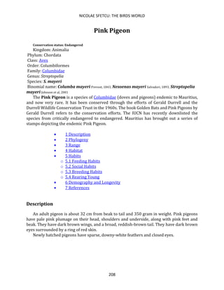 NICOLAE SFETCU: THE BIRDS WORLD
208
Pink Pigeon
Conservation status: Endangered
Kingdom: Animalia
Phylum: Chordata
Class: Aves
Order: Columbiformes
Family: Columbidae
Genus: Streptopelia
Species: S. mayeri
Binomial name: Columba mayeri Prevost, 1843, Nesoenas mayeri Salvadori, 1893, Streptopelia
mayeri Johnson et al, 2001
The Pink Pigeon is a species of Columbidae (doves and pigeons) endemic to Mauritius,
and now very rare. It has been conserved through the efforts of Gerald Durrell and the
Durrell Wildlife Conservation Trust in the 1960s. The book Golden Bats and Pink Pigeons by
Gerald Durrell refers to the conservation efforts. The IUCN has recently downlisted the
species from critically endangered to endangered. Mauritius has brought out a series of
stamps depicting the endemic Pink Pigeon.
• 1 Description
• 2 Phylogeny
• 3 Range
• 4 Habitat
• 5 Habits
o 5.1 Feeding Habits
o 5.2 Social Habits
o 5.3 Breeding Habits
o 5.4 Rearing Young
• 6 Demography and Longevity
• 7 References
Description
An adult pigeon is about 32 cm from beak to tail and 350 gram in weight. Pink pigeons
have pale pink plumage on their head, shoulders and underside, along with pink feet and
beak. They have dark brown wings, and a broad, reddish-brown tail. They have dark brown
eyes surrounded by a ring of red skin.
Newly hatched pigeons have sparse, downy-white feathers and closed eyes.
 