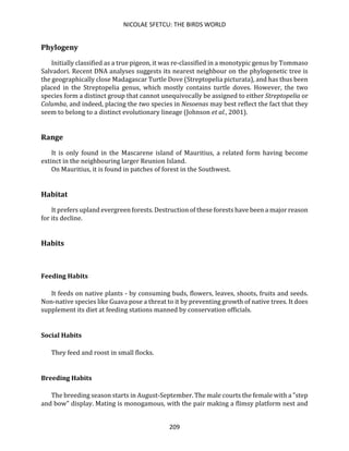 NICOLAE SFETCU: THE BIRDS WORLD
209
Phylogeny
Initially classified as a true pigeon, it was re-classified in a monotypic genus by Tommaso
Salvadori. Recent DNA analyses suggests its nearest neighbour on the phylogenetic tree is
the geographically close Madagascar Turtle Dove (Streptopelia picturata), and has thus been
placed in the Streptopelia genus, which mostly contains turtle doves. However, the two
species form a distinct group that cannot unequivocally be assigned to either Streptopelia or
Columba, and indeed, placing the two species in Nesoenas may best reflect the fact that they
seem to belong to a distinct evolutionary lineage (Johnson et al., 2001).
Range
It is only found in the Mascarene island of Mauritius, a related form having become
extinct in the neighbouring larger Reunion Island.
On Mauritius, it is found in patches of forest in the Southwest.
Habitat
It prefers upland evergreen forests. Destruction of these forests have been a major reason
for its decline.
Habits
Feeding Habits
It feeds on native plants - by consuming buds, flowers, leaves, shoots, fruits and seeds.
Non-native species like Guava pose a threat to it by preventing growth of native trees. It does
supplement its diet at feeding stations manned by conservation officials.
Social Habits
They feed and roost in small flocks.
Breeding Habits
The breeding season starts in August-September. The male courts the female with a "step
and bow" display. Mating is monogamous, with the pair making a flimsy platform nest and
 