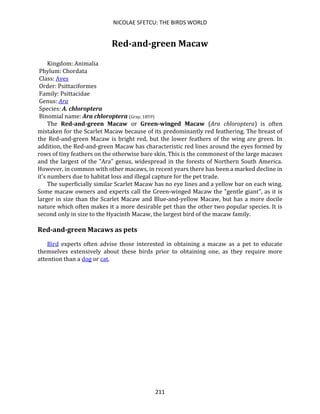 NICOLAE SFETCU: THE BIRDS WORLD
211
Red-and-green Macaw
Kingdom: Animalia
Phylum: Chordata
Class: Aves
Order: Psittaciformes
Family: Psittacidae
Genus: Ara
Species: A. chloroptera
Binomial name: Ara chloroptera (Gray, 1859)
The Red-and-green Macaw or Green-winged Macaw (Ara chloroptera) is often
mistaken for the Scarlet Macaw because of its predominantly red feathering. The breast of
the Red-and-green Macaw is bright red, but the lower feathers of the wing are green. In
addition, the Red-and-green Macaw has characteristic red lines around the eyes formed by
rows of tiny feathers on the otherwise bare skin. This is the commonest of the large macaws
and the largest of the "Ara" genus, widespread in the forests of Northern South America.
However, in common with other macaws, in recent years there has been a marked decline in
it's numbers due to habitat loss and illegal capture for the pet trade.
The superficially similar Scarlet Macaw has no eye lines and a yellow bar on each wing.
Some macaw owners and experts call the Green-winged Macaw the "gentle giant", as it is
larger in size than the Scarlet Macaw and Blue-and-yellow Macaw, but has a more docile
nature which often makes it a more desirable pet than the other two popular species. It is
second only in size to the Hyacinth Macaw, the largest bird of the macaw family.
Red-and-green Macaws as pets
Bird experts often advise those interested in obtaining a macaw as a pet to educate
themselves extensively about these birds prior to obtaining one, as they require more
attention than a dog or cat.
 
