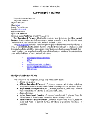 NICOLAE SFETCU: THE BIRDS WORLD
212
Rose-ringed Parakeet
Conservation status Least concern
Kingdom: Animalia
Phylum: Chordata
Class: Aves
Order: Psittaciformes
Family: Psittacidae
Genus: Psittacula
Species: P. krameri
Binomial name: Psittacula krameri (Scopoli, 1769)
The Rose-ringed Parakeet (Psittacula krameri), also known as the Ring-necked
Parakeet, is a gregarious tropical parakeet species that is popular as a pet. Its scientific name
commemorates the Austrian naturalist Wilhelm Heinrich Kramer.
This non-migrating species is one of few parrot species that have successfully adapted to
living in 'disturbed habitats', and in that way withstood the onslaught of urbanisation and
deforestation. In the wild, this is a noisy species with an unmistakable squawking call. Rose-
ringed Parakeets are sexually dimorphic, and adult males sport black markings under their
beaks and a dark band of colors around their necks.
• 1 Phylogeny and distribution
• 2 Diet
• 3 Size
• 4 Feral Rose-ringed Parakeets
• 5 Rose-ringed Parakeets as pets
• 6 References
Phylogeny and distribution
Four subspecies are recognized, though they do not differ much:
• African subspecies:
• African Rose-ringed Parakeet (P. krameri krameri): West Africa in Guinea,
Senegal and southern Mauretania, east to Western Uganda and Southern Sudan.
• Abyssinian Rose-ringed Parakeet (P. krameri parvirostris): Northwest Somalia,
west across northern Ethiopia to Sennar district, Sudan.
• Asian subspecies:
• Indian Rose-ringed Parakeet (P. krameri manillensis): Originated from the
southern Indian subcontinent; introduced populations worldwide.
• Neumann's Rose-ringed Parakeet (P. krameri borealis): east Pakistan, northern
India and Nepal to central Burma; introduced populations worldwide in
localities.
 