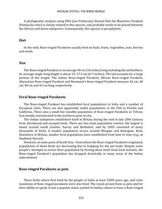 NICOLAE SFETCU: THE BIRDS WORLD
213
A phylogenetic analysis using DNA (see Psittacula) showed that the Mauritius Parakeet
(Psittacula echo) is closely related to this species, and probably needs to be placed between
the African and Asian subspecies. Consequently, this species is paraphyletic.
Diet
In the wild, Rose-ringed Parakeets usually feed on buds, fruits, vegetables, nuts, berries
and seeds.
Size
The Rose-ringed Parakeet is on average 40 cm (16 inches) long including the tail feathers.
Its average single wing length is about 15–17.5 cm (6-7 inches). The tail accounts for a large
portion of the length. The Indian Rose-ringed Parakeet, African Rose-ringed Parakeet,
Abyssinian Rose-ringed Parakeet and Neumann's Rose-ringed Parakeet measure 42 cm, 40
cm, 40 cm and 43 cm long, respectively.
Feral Rose-ringed Parakeets
The Rose-ringed Parakeet has established feral populations in India and a number of
European cities. There are also apparently stable populations in the USA in Florida and
California. There also a small but sizeable population of Rose-ringed Parakeets in Tehran,
Iran mostly concentrated in the northern parts of city.
The Indian subspecies established itself in Britain during the mid to late 20th Century
from introduced and escaped birds. There are two main population centres: the largest is
based around south London, Surrey and Berkshire, and by 2005 consisted of many
thousands of birds. A smaller population occurs around Margate and Ramsgate, Kent.
Elsewhere in Britain, smaller feral populations have established from time to time (e.g., at
Studland, Dorset).
However, in some parts of South Asia - from where the Rose-ringed Parakeets originated,
populations of these birds are decreasing due to trapping for the pet trade. Despite some
people's attempts to revive their population by freeing these birds from local markets, the
Rose-ringed Parakeet's population has dropped drastically in many areas of the Indian
subcontinent.
Rose-ringed Parakeets as pets
These birds where first bred by the people of India at least 3,000 years ago, and color
mutations of Rose-ringed parakeets were also bred. The royals prized them as pets and for
their ability to speak. It was a popular status symbol in Indian culture to have a Rose-ringed
 