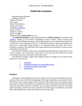 NICOLAE SFETCU: THE BIRDS WORLD
223
Umbrella Cockatoo
Conservation status: Vulnerable
Kingdom: Animalia
Phylum: Chordata
Class: Aves
Order: Psittaciformes
Family: Cacatuidae
Subfamily: Cacatuinae
Genus: Cacatua
Subgenus: Cacatua
Species: C. alba
Binomial name: Cacatua alba Muller, 1776
The Umbrella Cockatoo, Cacatua alba also known as White Cockatoo is a medium-sized
cockatoo endemic to the islands of Halmahera, Bacan, Ternate, Tidore, Kasiruta and
Mandiole in North Maluku, Indonesia. At first sight it appears to be a white parrot with brown
or black eyes and a dark grey beak. If it is surprised, it extends a large and striking crest,
which has a semicircular shape (similar to an umbrella, hence the name). The crest is
normally recumbent. The underside of the wings and tail have pale yellow or lemon colour,
which flash when they fly.
The Umbrella Cockatoo can live up to, and perhaps beyond, 80 years in age. They are very
social, needing a lot of interaction. They can be very loud and their calls (a very loud
screeching noise) can be heard up to three miles away.
The Umbrella Cockatoo weighs about 600gm (based on weights of two male pet birds
aged about 1 and 3 years).
• 1 Feathers
• 2 Umbrella Cockatoo as a vulnerable species
• 3 Umbrella Cockatoo as pet birds
• 4 References
Feathers
The feathers of the Umbrella Cockatoo are mostly white. However, both upper and lower
surfaces of the inner half of the trailing edge of the large wing feathers are a yellow colour.
The yellow colour is most notable on the underside of the wings because the yellow portion
of the upper surface of the feather is covered by the white of the feather immediately medial
(nearer to the body) and above. Similarly, areas of larger tail feathers that are covered by
other tail feathers, and the innermost covered areas of the larger crest feathers are yellow.
Short white feathers grow from and closely cover the upper legs.
 