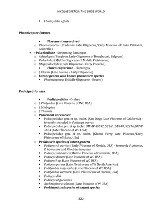 NICOLAE SFETCU: THE BIRDS WORLD
322
▪ Chlamydotis affinis
Phoenicopteriformes
• Placement unresolved
o Phoeniconotius (Etadunna Late Oligocene/Early Miocene of Lake Pitikanta,
Australia)
• †Palaelodidae - Swimming-flamingos
o Adelalopus (Borgloon Early Oligocene of Hoogbutsel, Belgium)
o Palaelodus (Middle Oligocene -? Middle Pleistocene)
o Megapaloelodus (Late Oligocene - Early Pliocene)
• Phoenicopteridae - Flamingos
o †Elornis (Late Eocene - Early Oligocene)
o Extant genera with known prehistoric species
▪ Phoenicopterus (Middle Oligocene - Recent)
Podicipediformes
• Podicipedidae - Grebes
o †Pliolymbus (Late Pliocene of WC USA)
o †Miobaptus
o †Thiornis
o Placement unresolved
▪ Podicipedidae gen. et sp. indet. (San Diego Late Pliocene of California) -
formerly included in Podiceps parvus
▪ Podicipedidae gen. et sp. indet. UMMP 49592, 52261, 51848, 52276, KUVP
4484 (Late Pliocene of WC USA)
▪ Podicipedidae gen. et sp. indet. (Glenns Ferry Late Pliocene/Early
Pleistocene of Idaho, USA)
o Prehistoric species of extant genera
▪ Podiceps cf. auritus (Early Pliocene of Florida, USA) - formerly P. pisanus,
P. howardae and Pliodytes lanquisti
▪ Podiceps subparvus (Middle Pliocene of California, USA)
▪ Podiceps discors (Late Pliocene of WC USA)
▪ Podiceps? sp. (Late Pliocene of WC USA)
▪ Podiceps parvus (Late Pleistocene of W North America)
▪ Podilymbus majusculus (Late Pliocene of WC USA)
▪ Podilymbus wetmorei (Late Pleistocene of Florida, USA)
▪ Podiceps dixi
▪ Podiceps oligocaenus
▪ Aechmophorus elasson (Late Pliocene of W USA)
▪ Prehistoric subspecies of extant species
 