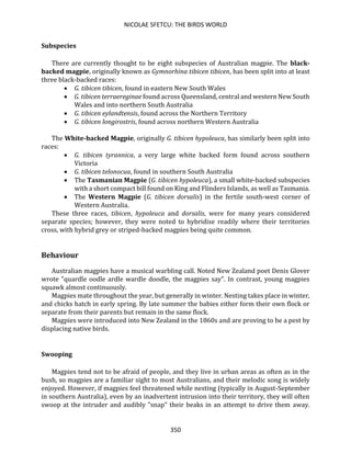 NICOLAE SFETCU: THE BIRDS WORLD
350
Subspecies
There are currently thought to be eight subspecies of Australian magpie. The black-
backed magpie, originally known as Gymnorhina tibicen tibicen, has been split into at least
three black-backed races:
• G. tibicen tibicen, found in eastern New South Wales
• G. tibicen terraereginae found across Queensland, central and western New South
Wales and into northern South Australia
• G. tibicen eylandtensis, found across the Northern Territory
• G. tibicen longirostris, found across northern Western Australia
The White-backed Magpie, originally G. tibicen hypoleuca, has similarly been split into
races:
• G. tibicen tyrannica, a very large white backed form found across southern
Victoria
• G. tibicen telonocua, found in southern South Australia
• The Tasmanian Magpie (G. tibicen hypoleuca), a small white-backed subspecies
with a short compact bill found on King and Flinders Islands, as well as Tasmania.
• The Western Magpie (G. tibicen dorsalis) in the fertile south-west corner of
Western Australia.
These three races, tibicen, hypoleuca and dorsalis, were for many years considered
separate species; however, they were noted to hybridise readily where their territories
cross, with hybrid grey or striped-backed magpies being quite common.
Behaviour
Australian magpies have a musical warbling call. Noted New Zealand poet Denis Glover
wrote "quardle oodle ardle wardle doodle, the magpies say". In contrast, young magpies
squawk almost continuously.
Magpies mate throughout the year, but generally in winter. Nesting takes place in winter,
and chicks hatch in early spring. By late summer the babies either form their own flock or
separate from their parents but remain in the same flock.
Magpies were introduced into New Zealand in the 1860s and are proving to be a pest by
displacing native birds.
Swooping
Magpies tend not to be afraid of people, and they live in urban areas as often as in the
bush, so magpies are a familiar sight to most Australians, and their melodic song is widely
enjoyed. However, if magpies feel threatened while nesting (typically in August-September
in southern Australia), even by an inadvertent intrusion into their territory, they will often
swoop at the intruder and audibly "snap" their beaks in an attempt to drive them away.
 