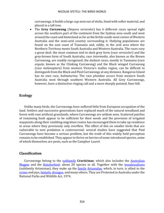 NICOLAE SFETCU: THE BIRDS WORLD
354
currawongs, it builds a large cup-nest out of sticks, lined with softer material, and
placed in a tall tree.
• The Grey Currawong (Stepera versicolor) has 6 different races spread right
across the southern part of the continent from the Sydney area south and west
around the coast and hinterland as far as the fertile south-west corner of Western
Australia and the semi-arid country surrounding it. Outlying populations are
found on the east coast of Tasmania and, oddly, in the arid area where the
Northern Territory meets South Australia and Western Australia. The races vary
a great deal: the most common mid to dark grey form (race versicolor) and the
grey-brown form of South Australia, race intermedia, also known as the Brown
Currawong, are readily recognised; the darkest races, mostly in Tasmania (race
arguta, known as the Clinking Currawong) and the Black winged Currawong
(race melanoptera) from western Victoria's mallee region, can be difficult to
distinguish from the Black and Pied Currawongs at any distance. Kangaroo Island
has its own race, halmaturina. The race plumbea occurs from western South
Australia west through southern Western Australia. All Grey Currawongs,
however, have a distinctive ringing call and a more sharply pointed, finer bill.
Ecology
Unlike many birds, the Currawongs have suffered little from European occupation of the
land. Settlers and successive generations have replaced much of the natural woodland and
forest with vast artificial grasslands, where Currawongs are seldom seen. Scattered patches
of remaining bush appear to be sufficient for their needs and the provision of irrigated
waypoints along their rambling migration routes has encouraged them to take up residence
in areas where they previously only overflew. The effect of this on smaller birds that are
vulnerable to nest predation is controversial: several studies have suggested that Pied
Currawongs have become a serious problem, but the truth of this widely held perception
remains to be established. They appear to thrive on berries of some introduced species, some
of which themselves are pests, such as the Camphor Laurel.
Classification
Currawongs belong to the subfamily Cracticinae, which also includes the Australian
Magpie and the Butcherbird: about 20 species in all. Together with the woodswallows
(subfamily Artaminae), they make up the family Artamidae, which, in turn, is allied to the
crows and jays, fantails, drongos, and many others. They are Protected in Australia under the
National Parks and Wildlife Act, 1974.
 