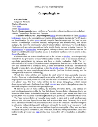 NICOLAE SFETCU: THE BIRDS WORLD
357
Campephagidae
Cuckoo-shrike
Kingdom: Animalia
Phylum: Chordata
Class: Aves
Order: Passeriformes
Family: Campephagidae Vigors, 1825Genera: Pteropodocys, Coracina, Campochaera, Lalage,
Lobotos, Campephaga, Pericrocotus, Hemipus
The cuckoo-shrikes, the Campephagidae family are small to medium-sized passerine
bird species found in the subtropical and tropical Africa, Asia and Australasia. The 84 species
are found in eight (or nine) genera which comprise five distinct groups, the 'true' cuckoo-
shrikes (Campephaga, Coracina, Lobotos, Pteropodocys and Campochaera) the trillers
(Lalage), the minivets (Pericrocotus), the flycatcher-shrikes (Hemipus). The wood-shrikes
(Tephrodornis) were often considered to be in this family but are probably closer to the
helmetshrikes or bushshrikes. Another genus, Chlamydochaera, which has one species, the
Black-breasted Fruithunter was often placed in this family but has now been shown to be a
thrush (Turdidae).
Cuckoo-shrikes are neither closely related to the cuckoos or shrikes, the name probably
comes from the grey colour of many of the cuckoo-shrikes. Some of the species also bear a
superficial resemblance to cuckoos, and have a similar undulating flight. The grey
colouration has led to one of their other names, the greybird. In some parts of the world they
have also been known as caterpillar-birds, a name derived from their diet. They are in fact
thought by some to be closely related to the Old World orioles (Oriolidae), although they
differ strongly in some morphological characteristics (such as skull morphology and the
arrangements of feathers on the wing).
Overall the cuckoo-shrikes are medium to small arboreal birds, generally long and
slender. They are predominately greyish with white and black, although the minivets are
brightly coloured in red, yellow and black, and the Blue Cuckoo-shrike of central Africa is all-
over glossy blue. The four cuckoo-shrikes in the genus Campephaga exhibit sexual
dimorphism, with males that have glossy black plumage and bright red or yellow wattles, the
females having more subdued olive-green plumage.
Of the 84 species of cuckoo-shrike, the majority are forest birds. Some species are
restricted to primary forest, like the New Caledonian Cuckoo-shrike, others are able to use
more disturbed forest. Around eleven species use much more open habitat, one Australian
species, the Ground Cuckoo-shrike being found in open plains and scrubland with few trees.
The 'true' cuckoo-shrikes are usually found singly, in pairs, and in small family groups,
whereas the minivets, flycatcher-shrikes and wood-shrikes more frequently form small
flocks. There is a considerable amount of variation within the family as a whole with regards
to calls, some call very infrequently and some, principally the minivets, are extremely vocal.
These are mainly insectivorous, and will take large hairy caterpillars. They have also been
recorded eating small vertebrates, and some fruit, seeds and other plant matter. About four
blotchy white, green or blue eggs are laid in a cup nest in a tree. Incubation is about two
weeks.
 