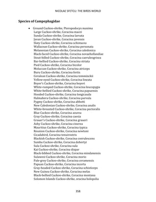 NICOLAE SFETCU: THE BIRDS WORLD
358
Species of Campephagidae
• Ground Cuckoo-shrike, Pteropodocys maxima
Large Cuckoo-shrike, Coracina macei
Sunda Cuckoo-shrike, Coracina larvata
Javan Cuckoo-shrike, Coracina javensis
Slaty Cuckoo-shrike, Coracina schistacea
Wallacean Cuckoo-shrike, Coracina personata
Melanesian Cuckoo-shrike, Coracina caledonica
Black-faced Cuckoo-shrike, Coracina novaehollandiae
Stout-billed Cuckoo-shrike, Coracina caeruleogrisea
Bar-bellied Cuckoo-shrike, Coracina striata
Pied Cuckoo-shrike, Coracina bicolor
Moluccan Cuckoo-shrike, Coracina atriceps
Buru Cuckoo-shrike, Coracina fortis
Cerulean Cuckoo-shrike, Coracina temminckii
Yellow-eyed Cuckoo-shrike, Coracina lineata
Boyer's Cuckoo-shrike, Coracina boyeri
White-rumped Cuckoo-shrike, Coracina leucopygia
White-bellied Cuckoo-shrike, Coracina papuensis
Hooded Cuckoo-shrike, Coracina longicauda
Halmahera Cuckoo-shrike, Coracina parvula
Pygmy Cuckoo-shrike, Coracina abbotti
New Caledonian Cuckoo-shrike, Coracina analis
White-breasted Cuckoo-shrike, Coracina pectoralis
Blue Cuckoo-shrike, Coracina azurea
Gray Cuckoo-shrike, Coracina caesia
Grauer's Cuckoo-shrike, Coracina graueri
Ashy Cuckoo-shrike, Coracina cinerea
Mauritius Cuckoo-shrike, Coracina typica
Reunion Cuckoo-shrike, Coracina newtoni
Cicadabird, Coracina tenuirostris
Blackish Cuckoo-shrike, Coracina coerulescens
Sumba Cuckoo-shrike, Coracina dohertyi
Sula Cuckoo-shrike, Coracina sula
Kai Cuckoo-shrike, Coracina dispar
Black-bibbed Cuckoo-shrike, Coracina mindanensis
Sulawesi Cuckoo-shrike, Coracina morio
Pale-grey Cuckoo-shrike, Coracina ceramensis
Papuan Cuckoo-shrike, Coracina incerta
Gray-headed Cuckoo-shrike, Coracina schisticeps
New Guinea Cuckoo-shrike, Coracina melas
Black-bellied Cuckoo-shrike, Coracina montana
Solomon Islands Cuckoo-shrike, oracina holopolia
 