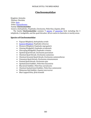 NICOLAE SFETCU: THE BIRDS WORLD
360
Cinclosomatidae
Kingdom: Animalia
Phylum: Chordata
Class: Aves
Order: Passeriformes
Family: Cinclosomatidae
Genera: Androphobus, Psophodes, Cinclosoma, Ptilorrhoa, Eupetes, Ifrita
The family Cinclosomatidae contains 9 species of passerine bird, including the 3
whipbirds, 2 wedgebills, and the quail-thrushes. All are native to Australia or nearby areas.
Species of Cinclosomatidae
• Papuan Whipbird, Androphobus viridis
• Eastern Whipbird, Psophodes olivaceus
• Western Whipbird, Psophodes nigrogularis
• Chiming Wedgebill, Psophodes occidentalis
• Chirruping Wedgebill, Psophodes cristatus
• Spotted Quail-thrush, Cinclosoma punctatum
• Chestnut Quail-thrush, Cinclosoma castanotus
• Chestnut-breasted Quail-thrush, Cinclosoma castaneothorax
• Cinnamon Quail-thrush, Cinclosoma cinnamomeum
• Painted Quail-thrush, Cinclosoma ajax
• Spotted Jewel-babbler, Ptilorrhoa leucosticta
• Blue Jewel-babbler, Ptilorrhoa caerulescens
• Chestnut-backed Jewel-babbler, Ptilorrhoa castanonota
• Malaysian Rail-babbler, Eupetes macrocerus
• Blue-capped Ifrita, Ifrita kowaldi
 