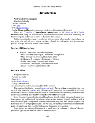 NICOLAE SFETCU: THE BIRDS WORLD
362
Climacteridae
Australasian Treecreepers
Kingdom: Animalia
Phylum: Chordata
Class: Aves
Order: Passeriformes
Family: Climacteridae de Sélys Longchamps, 1839Genera: Cormobates, Climacteris
There are 7 species of Australasian treecreeper in the passerine bird family
Climacteridae. They are medium-small, mostly brown-coloured birds with patterning on
their underparts and all are endemic to Australia-New Guinea.
As their name implies, treecreepers forage for insects and other small creatures living on
and under the bark of trees, mostly eucalypts, though several species also hunt on the
ground, through leaf-litter, and on fallen timber.
Species of Climacteridae
• Papuan Treecreeper, Cormobates placens
White-throated Treecreeper, Cormobates leucophaeus
White-browed Treecreeper, Climacteris affinis
Red-browed Treecreeper, Climacteris erythrops
Brown Treecreeper, Climacteris picumnus
Black-tailed Treecreeper, Climacteris melanura
Rufous Treecreeper, Climacteris rufa
Corcorachidae
Kingdom: Animalia
Phylum: Chordata
Class: Aves
Order: Passeriformes
Family: Corcoracidae
Species: Corcorax melanorhamphos, Struthidea cinerea
The very small and rather unusual passerine family Corcoracidae now contains just two
superficially dissimilar species: the White-winged Chough and the Apostlebird. Both are
endemic to Australia. There is no well-accepted common name for the family, but sometimes
the terms Australian mud-nesters or mud nest builders are used.
In the field, the relationship between Choughs and Apostlebirds is immediately apparent:
both species are highly social, spend much of their time foraging through leaf litter with a
very distinctive gait, calling to one another almost constantly, and both species respond to a
human interloper by flying heavily to a nearby tree, where they wait for the disturbance to
pass, often perching close together in twos and threes and allopreening.
Apostlebirds are so named because (it is said) "there are always 12 of them"! In fact,
group size typically varies from about 6 to as many as 20.
 