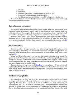 NICOLAE SFETCU: THE BIRDS WORLD
366
o Miocitta
o Miocorvus
o Henocitta (Arredondo Early Pleistocene of Williston, USA)
o Protocitta (Early Pleistocene of Reddick, USA)
o Corvidae gen. et sp. indet. (Sicily) - probably belongs into extant genus.
In addition, there are numerous fossil species of extant genera (mainly European Corvus).
See the genus accounts for more.
Typical size and appearance
Corvids have feathered rounded nostrils, strong tails and wings and similar sexes. Many
corvids of temperate zones are mainly black or blue; however, some are pied black and
white, some have a blue-purple iridescence and many tropical species are highly coloured.
Corvids have strong, stout bills, large wingspans and are between 23 and 71 cm long. [4]
Members of the genus Corvus are the largest members of the passerine order reaching
50-71 cm (20-27 inches). Species can be identified based on size, shape and geography;
however, some, especially the Australian crows, are best identified by their raucous calls. [5]
Social interaction
Some corvids have strong organization and community groups. Jackdaws, for example,
have a strong social hierarchy, and are facultatively colonial during breeding (Verhulst and
Salomons 2004). Providing mutual aid has also been recorded within many of the corvid
species. [6]
Young corvids have been known to play and take part in elaborate social games. The
games resemble “king of the mountain” and “follow the leader” along with games that
manipulate, pass and balance sticks. Corvids also take part in other activities, such as sliding
down smooth surfaces, and these games are understood to play a large role in the adaptive
and survival value of the birds (Gill 2003).
Some corvids can be aggressive birds. Blue Jays, for example, are well known to attack
anything that threatens their nest. Crows have been known to attack dogs, cats, ravens, and
birds of prey. Most of the time these assaults take place as a distraction long enough to allow
the crow to steal food.[7]
Food and foraging habits
The natural diet of many corvid species is omnivorous, consisting of invertebrates,
nestlings, small mammals, berries, fruits, seeds, and carrion. However, some corvids,
especially the crows, have adapted well to human conditions and have come to rely on
anthropogenic foods. In a US study of American Crows, Common Ravens and Steller's Jays
around campgrounds and human settlements, the crows appeared to have the most diverse
diet of all, taking anthropogenic foods such as bread, spaghetti, fried potatoes, dog food,
 