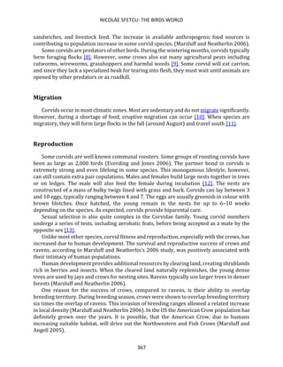 NICOLAE SFETCU: THE BIRDS WORLD
367
sandwiches, and livestock feed. The increase in available anthropogenic food sources is
contributing to population increase in some corvid species. (Marzluff and Neatherlin 2006).
Some corvids are predators of other birds. During the wintering months, corvids typically
form foraging flocks [8]. However, some crows also eat many agricultural pests including
cutworms, wireworms, grasshoppers and harmful weeds [9]. Some corvid will eat carrion,
and since they lack a specialized beak for tearing into flesh, they must wait until animals are
opened by other predators or as roadkill.
Migration
Corvids occur in most climatic zones. Most are sedentary and do not migrate significantly.
However, during a shortage of food, eruptive migration can occur [10]. When species are
migratory, they will form large flocks in the fall (around August) and travel south [11].
Reproduction
Some corvids are well known communal roosters. Some groups of roosting corvids have
been as large as 2,000 birds (Everding and Jones 2006). The partner bond in corvids is
extremely strong and even lifelong in some species. This monogamous lifestyle, however,
can still contain extra pair copulations. Males and females build large nests together in trees
or on ledges. The male will also feed the female during incubation [12]. The nests are
constructed of a mass of bulky twigs lined with grass and bark. Corvids can lay between 3
and 10 eggs, typically ranging between 4 and 7. The eggs are usually greenish in colour with
brown blotches. Once hatched, the young remain in the nests for up to 6–10 weeks
depending on the species. As expected, corvids provide biparental care.
Sexual selection is also quite complex in the Corvidae family. Young corvid members
undergo a series of tests, including aerobatic feats, before being accepted as a mate by the
opposite sex [13].
Unlike most other species, corvid fitness and reproduction, especially with the crows, has
increased due to human development. The survival and reproductive success of crows and
ravens, according to Marzluff and Neatherlin’s 2006 study, was positively associated with
their intimacy of human populations.
Human development provides additional resources by clearing land, creating shrublands
rich in berries and insects. When the cleared land naturally replenishes, the young dense
trees are used by jays and crows for nesting sites. Ravens typically use larger trees in denser
forests (Marzluff and Neatherlin 2006).
One reason for the success of crows, compared to ravens, is their ability to overlap
breeding territory. During breeding season, crows were shown to overlap breeding territory
six times the overlap of ravens. This invasion of breeding ranges allowed a related increase
in local density (Marzluff and Neatherlin 2006). In the US the American Crow population has
definitely grown over the years. It is possible, that the American Crow, due to humans
increasing suitable habitat, will drive out the Northwestern and Fish Crows (Marzluff and
Angell 2005).
 