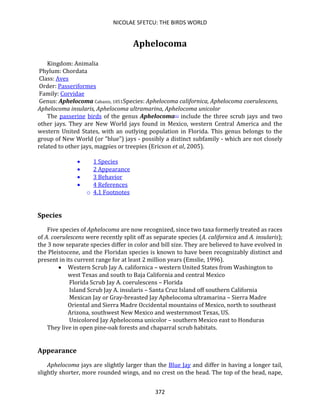 NICOLAE SFETCU: THE BIRDS WORLD
372
Aphelocoma
Kingdom: Animalia
Phylum: Chordata
Class: Aves
Order: Passeriformes
Family: Corvidae
Genus: Aphelocoma Cabanis, 1851Species: Aphelocoma californica, Aphelocoma coerulescens,
Aphelocoma insularis, Aphelocoma ultramarina, Aphelocoma unicolor
The passerine birds of the genus Aphelocoma[1] include the three scrub jays and two
other jays. They are New World jays found in Mexico, western Central America and the
western United States, with an outlying population in Florida. This genus belongs to the
group of New World (or "blue") jays - possibly a distinct subfamily - which are not closely
related to other jays, magpies or treepies (Ericson et al, 2005).
• 1 Species
• 2 Appearance
• 3 Behavior
• 4 References
o 4.1 Footnotes
Species
Five species of Aphelocoma are now recognized, since two taxa formerly treated as races
of A. coerulescens were recently split off as separate species (A. californica and A. insularis);
the 3 now separate species differ in color and bill size. They are believed to have evolved in
the Pleistocene, and the Floridan species is known to have been recognizably distinct and
present in its current range for at least 2 million years (Emslie, 1996).
• Western Scrub Jay A. californica – western United States from Washington to
west Texas and south to Baja California and central Mexico
Florida Scrub Jay A. coerulescens – Florida
Island Scrub Jay A. insularis – Santa Cruz Island off southern California
Mexican Jay or Gray-breasted Jay Aphelocoma ultramarina – Sierra Madre
Oriental and Sierra Madre Occidental mountains of Mexico, north to southeast
Arizona, southwest New Mexico and westernmost Texas, US.
Unicolored Jay Aphelocoma unicolor – southern Mexico east to Honduras
They live in open pine-oak forests and chaparral scrub habitats.
Appearance
Aphelocoma jays are slightly larger than the Blue Jay and differ in having a longer tail,
slightly shorter, more rounded wings, and no crest on the head. The top of the head, nape,
 