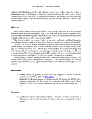 NICOLAE SFETCU: THE BIRDS WORLD
373
and sides of the head are a rich deep blue. In some species have a white stripe above the eye
and dark ear coverts. The breast is also white or grey-white and the back is a grey-brown
contrasting with the bright blue tail and wings in most species. One species, Unicolored Jay,
is blue all over, superficially similar to the Pinyon Jay from much further north. The bill, legs,
and feet are black.
Behavior
Food is taken both on the ground and in trees. Acorns and pine nuts are the most
important foods, making up the great bulk of the diet, with grain, berries and other fruits
making up the rest of the vegetable diet. Many insects and other invertebrates are also taken,
and eggs and nestlings, small frogs, mice and reptiles.
Wild Aphelocoma jays are frequent visitors at campsites and picnics and have frequently
learned to eat from the hands of people where they have become accustomed to being fed.
The nest is in a tree or a bush, sometimes quite low down. The nests are compact and
lined with hair and fine roots with an outer diameter of about 30cm to 60cm. Usually 2 to 4
eggs are laid and incubated over 14 to 16 days. There are two main variations of egg shell
color: green with olive markings or a paler background of grayish-white to green with red-
brown markings. The Florida Scrub Jay and the Mexican Jay both have cooperative breeding
systems involving several 'helpers' at each nest, usually siblings of the main pair.
Aphelocoma jays are quite vocal and have a huge range of sounds and calls; common calls
include a cheek, cheek, cheek and a guttural churring krr'r'r'r'r. Aphelocoma jays are also, like
all other jays, oftentimes quite aggressive at feeding areas, and sometimes regarded as a
nuisance.
References
• Emslie, Steven D. (1996): A fossil Scrub-Jay supports a recent systematic
decision. Condor 98(4): 675-680. PDF fulltext
• Ericson, Per G. P.; Jansén, Anna-Lee; Johansson, Ulf S. & Ekman, Jan (2005): Inter-
generic relationships of the crows, jays, magpies and allied groups (Aves:
Corvidae) based on nucleotide sequence data. Journal of Avian Biology 36: 222-
234.
Footnotes
1. ^ Aphelocoma, from Ancient Greek aphelo-, "smooth" and Latin coma "hair", in
reference to the smooth plumage of birds of this genus compared to other
corvids.
 