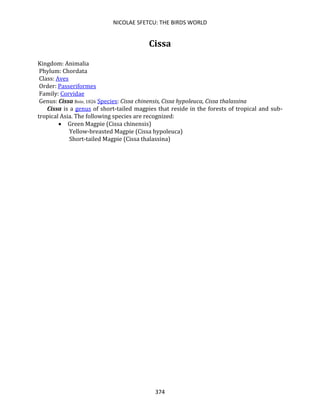 NICOLAE SFETCU: THE BIRDS WORLD
374
Cissa
Kingdom: Animalia
Phylum: Chordata
Class: Aves
Order: Passeriformes
Family: Corvidae
Genus: Cissa Boie, 1826 Species: Cissa chinensis, Cissa hypoleuca, Cissa thalassina
Cissa is a genus of short-tailed magpies that reside in the forests of tropical and sub-
tropical Asia. The following species are recognized:
• Green Magpie (Cissa chinensis)
Yellow-breasted Magpie (Cissa hypoleuca)
Short-tailed Magpie (Cissa thalassina)
 