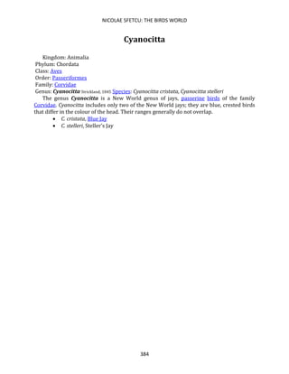 NICOLAE SFETCU: THE BIRDS WORLD
384
Cyanocitta
Kingdom: Animalia
Phylum: Chordata
Class: Aves
Order: Passeriformes
Family: Corvidae
Genus: Cyanocitta Strickland, 1845 Species: Cyanocitta cristata, Cyanocitta stelleri
The genus Cyanocitta is a New World genus of jays, passerine birds of the family
Corvidae. Cyanocitta includes only two of the New World jays; they are blue, crested birds
that differ in the colour of the head. Their ranges generally do not overlap.
• C. cristata, Blue Jay
• C. stelleri, Steller's Jay
 