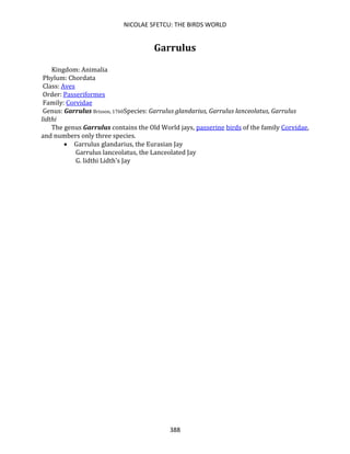 NICOLAE SFETCU: THE BIRDS WORLD
388
Garrulus
Kingdom: Animalia
Phylum: Chordata
Class: Aves
Order: Passeriformes
Family: Corvidae
Genus: Garrulus Brisson, 1760Species: Garrulus glandarius, Garrulus lanceolatus, Garrulus
lidthi
The genus Garrulus contains the Old World jays, passerine birds of the family Corvidae,
and numbers only three species.
• Garrulus glandarius, the Eurasian Jay
Garrulus lanceolatus, the Lanceolated Jay
G. lidthi Lidth's Jay
 