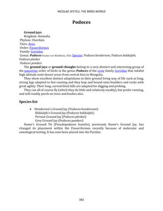NICOLAE SFETCU: THE BIRDS WORLD
392
Podoces
Ground jays
Kingdom: Animalia
Phylum: Chordata
Class: Aves
Order: Passeriformes
Family: Corvidae
Genus: Podoces Fischer von Waldheim, 1821 Species: Podoces hendersoni, Podoces biddulphi,
Podoces pleskei
Podoces panderi
The ground jays or ground choughs belong to a very distinct and interesting group of
the passerine order of birds in the genus Podoces of the crow family Corvidae that inhabit
high altitude semi-desert areas from central Asia to Mongolia.
They show excellent distinct adaptations to their ground living way of life such as long,
strong legs adapted to fast running and they leap and bound onto boulders and rocks with
great agility. Their long, curved thick bills are adapted for digging and probing.
They can all of course fly (which they do little and relatively weakly), but prefer running,
and will readily perch on trees and bushes also.
Species list
• Henderson's Ground Jay (Podoces hendersoni)
Biddulph's Ground Jay (Podoces biddulphi)
Persian Ground Jay (Podoces pleskei)
Grey Ground Jay (Podoces panderi)
Hume's Ground Tit (Pseudopodoces humilis), previously Hume's Ground Jay, has
changed its placement within the Passeriformes recently because of molecular and
osteological testing. It has now been placed into the Paridae.
 