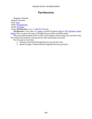 NICOLAE SFETCU: THE BIRDS WORLD
393
Pyrrhocorax
Kingdom: Animalia
Phylum: Chordata
Class: Aves
Order: Passeriformes
Family: Corvidae
Genus: Pyrrhocorax Tunstall, 1771Species: See text.
Pyrrhocorax is the name of a genus of black European birds in the Corvidae (crow)
family. They are given the name of chough because of the sound they make.
They are predominantly black in colour with brightly coloured legs, feet, and bills. They
have long broad wings for soaring and are often spectacular aeronauts.
The two species are below:
• Chough or Red-billed Chough (Pyrrhocorax pyrrhocorax)
• Alpine Chough or Yellow-billed Chough (Pyrrhocorax graculus)
 