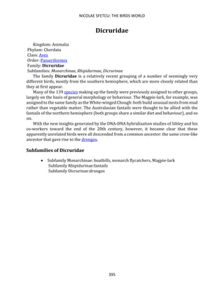 NICOLAE SFETCU: THE BIRDS WORLD
395
Dicruridae
Kingdom: Animalia
Phylum: Chordata
Class: Aves
Order: Passeriformes
Family: Dicruridae
Subfamilies: Monarchinae, Rhipidurinae, Dicrurinae
The family Dicruridae is a relatively recent grouping of a number of seemingly very
different birds, mostly from the southern hemisphere, which are more closely related than
they at first appear.
Many of the 139 species making up the family were previously assigned to other groups,
largely on the basis of general morphology or behaviour. The Magpie-lark, for example, was
assigned to the same family as the White-winged Chough: both build unusual nests from mud
rather than vegetable matter. The Australasian fantails were thought to be allied with the
fantails of the northern hemisphere (both groups share a similar diet and behaviour), and so
on.
With the new insights generated by the DNA-DNA hybridisation studies of Sibley and his
co-workers toward the end of the 20th century, however, it became clear that these
apparently unrelated birds were all descended from a common ancestor: the same crow-like
ancestor that gave rise to the drongos.
Subfamilies of Dicruridae
• Subfamily Monarchinae: boatbills, monarch flycatchers, Magpie-lark
Subfamily Rhipidurinae:fantails
Subfamily Dicrurinae:drongos
 