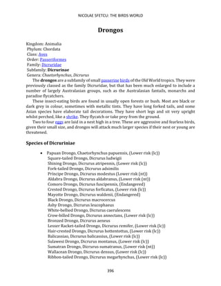 NICOLAE SFETCU: THE BIRDS WORLD
396
Drongos
Kingdom: Animalia
Phylum: Chordata
Class: Aves
Order: Passeriformes
Family: Dicruridae
Subfamily: Dicrurinae
Genera: Chaetorhynchus, Dicrurus
The drongos are a subfamily of small passerine birds of the Old World tropics. They were
previously classed as the family Dicruridae, but that has been much enlarged to include a
number of largely Australasian groups, such as the Australasian fantails, monarchs and
paradise flycatchers.
These insect-eating birds are found in usually open forests or bush. Most are black or
dark grey in colour, sometimes with metallic tints. They have long forked tails, and some
Asian species have elaborate tail decorations. They have short legs and sit very upright
whilst perched, like a shrike. They flycatch or take prey from the ground.
Two to four eggs are laid in a nest high in a tree. These are aggressive and fearless birds,
given their small size, and drongos will attack much larger species if their nest or young are
threatened.
Species of Dicruriniae
• Papuan Drongo, Chaetorhynchus papuensis, (Lower risk (lc))
Square-tailed Drongo, Dicrurus ludwigii
Shining Drongo, Dicrurus atripennis, (Lower risk (lc))
Fork-tailed Drongo, Dicrurus adsimilis
Príncipe Drongo, Dicrurus modestus (Lower risk (nt))
Aldabra Drongo, Dicrurus aldabranus, (Lower risk (nt))
Comoro Drongo, Dicrurus fuscipennis, (Endangered)
Crested Drongo, Dicrurus forficatus, (Lower risk (lc))
Mayotte Drongo, Dicrurus waldenii, (Endangered)
Black Drongo, Dicrurus macrocercus
Ashy Drongo, Dicrurus leucophaeus
White-bellied Drongo, Dicrurus caerulescens
Crow-billed Drongo, Dicrurus annectans, (Lower risk (lc))
Bronzed Drongo, Dicrurus aeneus
Lesser Racket-tailed Drongo, Dicrurus remifer, (Lower risk (lc))
Hair-crested Drongo, Dicrurus hottentottus, (Lower risk (lc))
Balicassiao, Dicrurus balicassius, (Lower risk (lc))
Sulawesi Drongo, Dicrurus montanus, (Lower risk (lc))
Sumatran Drongo, Dicrurus sumatranus, (Lower risk (nt))
Wallacean Drongo, Dicrurus densus, (Lower risk (lc))
Ribbon-tailed Drongo, Dicrurus megarhynchus, (Lower risk (lc))
 