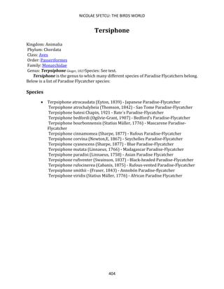 NICOLAE SFETCU: THE BIRDS WORLD
404
Tersiphone
Kingdom: Animalia
Phylum: Chordata
Class: Aves
Order: Passeriformes
Family: Monarchidae
Genus: Terpsiphone Gloger, 1827Species: See text.
Tersiphone is the genus to which many different species of Paradise Flycatchers belong.
Below is a list of Paradise Flycatcher species:
Species
• Terpsiphone atrocaudata (Eyton, 1839) - Japanese Paradise-Flycatcher
Terpsiphone atrochalybeia (Thomson, 1842) - Sao Tome Paradise-Flycatcher
Terpsiphone batesi Chapin, 1921 - Bate´s Paradise-Flycatcher
Terpsiphone bedfordi (Ogilvie-Grant, 1907) - Bedford's Paradise-Flycatcher
Terpsiphone bourbonnensis (Statius Müller, 1776) - Mascarene Paradise-
Flycatcher
Terpsiphone cinnamomea (Sharpe, 1877) - Rufous Paradise-Flycatcher
Terpsiphone corvina (Newton,E, 1867) - Seychelles Paradise-Flycatcher
Terpsiphone cyanescens (Sharpe, 1877) - Blue Paradise-Flycatcher
Terpsiphone mutata (Linnaeus, 1766) - Madagascar Paradise-Flycatcher
Terpsiphone paradisi (Linnaeus, 1758) - Asian Paradise Flycatcher
Terpsiphone rufiventer (Swainson, 1837) - Black-headed Paradise-Flycatcher
Terpsiphone rufocinerea (Cabanis, 1875) - Rufous-vented Paradise-Flycatcher
Terpsiphone smithii - (Fraser, 1843) - Annobón Paradise-flycatcher
Terpsiphone viridis (Statius Müller, 1776) - African Paradise Flycatcher
 
