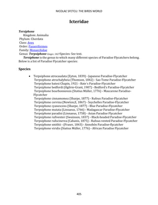 NICOLAE SFETCU: THE BIRDS WORLD
405
Icteridae
Tersiphone
Kingdom: Animalia
Phylum: Chordata
Class: Aves
Order: Passeriformes
Family: Monarchidae
Genus: Terpsiphone Gloger, 1827Species: See text.
Tersiphone is the genus to which many different species of Paradise Flycatchers belong.
Below is a list of Paradise Flycatcher species:
Species
• Terpsiphone atrocaudata (Eyton, 1839) - Japanese Paradise-Flycatcher
Terpsiphone atrochalybeia (Thomson, 1842) - Sao Tome Paradise-Flycatcher
Terpsiphone batesi Chapin, 1921 - Bate´s Paradise-Flycatcher
Terpsiphone bedfordi (Ogilvie-Grant, 1907) - Bedford's Paradise-Flycatcher
Terpsiphone bourbonnensis (Statius Müller, 1776) - Mascarene Paradise-
Flycatcher
Terpsiphone cinnamomea (Sharpe, 1877) - Rufous Paradise-Flycatcher
Terpsiphone corvina (Newton,E, 1867) - Seychelles Paradise-Flycatcher
Terpsiphone cyanescens (Sharpe, 1877) - Blue Paradise-Flycatcher
Terpsiphone mutata (Linnaeus, 1766) - Madagascar Paradise-Flycatcher
Terpsiphone paradisi (Linnaeus, 1758) - Asian Paradise Flycatcher
Terpsiphone rufiventer (Swainson, 1837) - Black-headed Paradise-Flycatcher
Terpsiphone rufocinerea (Cabanis, 1875) - Rufous-vented Paradise-Flycatcher
Terpsiphone smithii - (Fraser, 1843) - Annobón Paradise-flycatcher
Terpsiphone viridis (Statius Müller, 1776) - African Paradise Flycatcher
 