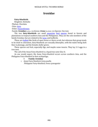 NICOLAE SFETCU: THE BIRDS WORLD
406
Irenidae
Fairy-bluebirds
Kingdom: Animalia
Phylum: Chordata
Class: Aves
Order: Passeriformes
Family: Irenidae Jerdon, 1863Genus: Irena Horsfield, 1821Species: See text.
The two fairy-bluebirds are small passerine bird species found in forests and
plantations in tropical southern Asia and the Philippines. They are the sole members of the
family Irenidae, but are related to the ioras and leafbirds.
These are bulbul-like birds of open forest or thorn scrub, but whereas that group tends
to be drab in coloration, fairy-bluebirds are sexually dimorphic, with the males being dark
blue in plumage, and the females duller green.
These species eat fruit, especially figs, and maybe some insects. They lay 2-3 eggs in a
tree nest.
The call of the Asian Fairy-bluebird is a liquid two note Glue-It.
As one would expect, the Asian Fairy-bluebird occurs across southern Asia, and the
Philippine Fairy-bluebird in that archipelago.
• Family: Irenidae
o Asian Fairy-bluebird, Irena puella
Philippine Fairy-bluebird, Irena cyanogaster
 