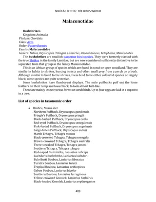 NICOLAE SFETCU: THE BIRDS WORLD
409
Malaconotidae
Bushshrikes
Kingdom: Animalia
Phylum: Chordata
Class: Aves
Order: Passeriformes
Family: Malaconotidae
Genera: Nilaus, Dryoscopus, Tchagra, Laniarius, Rhodophoneus, Telophorus, Malaconotus
The bushshrikes are smallish passerine bird species. They were formerly classed with
the true Shrikes in the family Laniidae, but are now considered sufficiently distinctive to be
separated from that group as the family Malaconotidae.
This is an African group of species which are found in scrub or open woodland. They are
similar in habits to shrikes, hunting insects and other small prey from a perch on a bush.
Although similar in build to the shrikes, these tend to be either colourful species or largely
black; some species are quite secretive.
Some bushshrikes have flamboyant displays. The male puffbacks puff out the loose
feathers on their rump and lower back, to look almost ball-like.
These are mainly insectivorous forest or scrub birds. Up to four eggs are laid in a cup nest
in a tree.
List of species in taxonomic order
• Brubru, Nilaus afer
Northern Puffback, Dryoscopus gambensis
Pringle's Puffback, Dryoscopus pringlii
Black-backed Puffback, Dryoscopus cubla
Red-eyed Puffback, Dryoscopus senegalensis
Pink-footed Puffback, Dryoscopus angolensis
Large-billed Puffback, Dryoscopus sabini
Marsh Tchagra, Tchagra minuta
Black-crowned Tchagra, Tchagra senegala
Brown-crowned Tchagra, Tchagra australis
Three-streaked Tchagra, Tchagra jamesi
Southern Tchagra, Tchagra tchagra
Red-naped Bushshrike, Laniarius ruficeps
Luehder's Bushshrike, Laniarius luehderi
Bulo Burti Boubou, Laniarius liberatus
Turati's Boubou, Laniarius turatii
Tropical Boubou, Laniarius aethiopicus
Gabon Boubou, Laniarius bicolor
Southern Boubou, Laniarius ferrugineus
Yellow-crowned Gonolek, Laniarius barbarus
Black-headed Gonolek, Laniarius erythrogaster
 