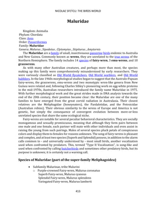 NICOLAE SFETCU: THE BIRDS WORLD
413
Maluridae
Kingdom: Animalia
Phylum: Chordata
Class: Aves
Order: Passeriformes
Family: Maluridae
Genera: Malurus , Sipodotus , Clytomyias , Stipiturus , Amytornis
The Maluridae are a family of small, insectivouous passerine birds endemic to Australia
and New Guinea. Commonly known as wrens, they are unrelated to the true wrens of the
Northern Hemisphere. The family includes 14 species of fairy-wren, 3 emu-wrens, and 10
grasswrens.
As with many other Australian creatures, and perhaps more than most, the species
making up this family were comprehensively misunderstood by early researchers. They
were variously classified as Old World flycatchers, Old World warblers, and Old World
babblers. In the late 1960s morphological studies began to suggest that the Australo-Papuan
fairy-wrens, the grasswrens, emu-wrens and two monotypic wren-like genera from New
Guinea were related and, following Charles Sibley's pioneering work on egg-white proteins
in the mid-1970s, Australian researchers introduced the family name Maluridae in 1975.
With further morphological work and the great strides made in DNA analysis towards the
end of the 20th century, their position became clear: the Maluridae are one of the many
families to have emerged from the great corvid radiation in Australasia. Their closest
relatives are the Meliphagidae (honeyeaters), the Pardalotidae, and the Petroicidae
(Australian robins). Their obvious similarity to the wrens of Europe and America is not
genetic, but simply the consequence of convergent evolution between more-or-less
unrelated species that share the same ecological niche.
Fairy-wrens are notable for several peculiar behavioral characteristics. They are socially
monogamous and sexually promiscuous, meaning that although they form pairs between
one male and one female, each partner will mate with other individuals and even assist in
raising the young from such pairings. Males of several species pluck petals of conspicuous
colors and display them to females for reasons unknown. The song of fairy-wrens is pleasant
and complex, and at least two species (Superb and Splendid) possess, in addition to the alarm
calls common to - and universally understood by - most small birds, another vocalization
used when confronted by predators. This, termed "Type II Vocalization", is song-like and
used when confronted by calling butcherbirds and sometimes other predatory birds, but its
purpose is unknown; it is certainly not a warning call.
Species of Maluridae (part of the super-family Meliphagoidea)
• Subfamily Malurinae, tribe Malurini
o Purple-crowned Fairy-wren, Malurus coronatus
Superb Fairy-wren, Malurus cyaneus
Splendid Fairy-wren, Malurus splendens
Variegated Fairy-wren, Malurus lamberti
 