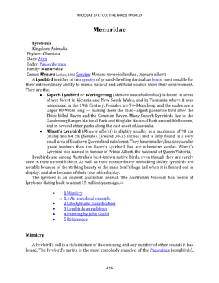 NICOLAE SFETCU: THE BIRDS WORLD
426
Menuridae
Lyrebirds
Kingdom: Animalia
Phylum: Chordata
Class: Aves
Order: Passeriformes
Family: Menuridae
Genus: Menura Latham, 1802 Species: Menura novaehollandiae , Menura alberti
A Lyrebird is either of two species of ground-dwelling Australian birds, most notable for
their extraordinary ability to mimic natural and artificial sounds from their environment.
They are the:
• Superb Lyrebird or Weringerong (Menura novaehollandiae) is found in areas
of wet forest in Victoria and New South Wales, and in Tasmania where it was
introduced in the 19th Century. Females are 74-84cm long, and the males are a
larger 80-98cm long — making them the third-largest passerine bird after the
Thick-billed Raven and the Common Raven. Many Superb Lyrebirds live in the
Dandenong Ranges National Park and Kinglake National Park around Melbourne,
and in several other parks along the east coast of Australia.
• Albert's Lyrebird (Menura alberti) is slightly smaller at a maximum of 90 cm
(male) and 84 cm (female) (around 30-35 inches) and is only found in a very
small area of Southern Queensland rainforest. They have smaller, less spectacular
lyrate feathers than the Superb Lyrebird, but are otherwise similar. Albert's
Lyrebird was named in honour of Prince Albert, the husband of Queen Victoria.
Lyrebirds are among Australia's best-known native birds, even though they are rarely
seen in their natural habitat. As well as their extraordinary mimicking ability, lyrebirds are
notable because of the striking beauty of the male bird's huge tail when it is fanned out in
display; and also because of their courtship display.
The lyrebird is an ancient Australian animal. The Australian Museum has fossils of
lyrebirds dating back to about 15 million years ago. [1]
• 1 Mimicry
o 1.1 An anecdotal example
• 2 Lifestyle and classification
• 3 Lyrebirds as emblems
• 4 Painting by John Gould
• 5 References
Mimicry
A lyrebird's call is a rich mixture of its own song and any number of other sounds it has
heard. The lyrebird's syrinx is the most complexly-muscled of the Passerines (songbirds),
 