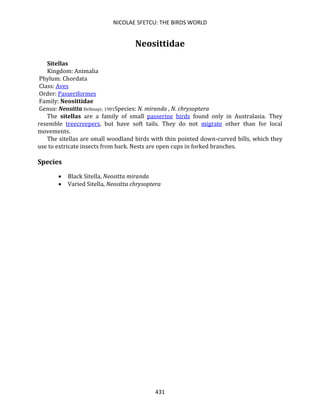 NICOLAE SFETCU: THE BIRDS WORLD
431
Neosittidae
Sitellas
Kingdom: Animalia
Phylum: Chordata
Class: Aves
Order: Passeriformes
Family: Neosittidae
Genus: Neositta Hellmayr, 1901Species: N. miranda , N. chrysoptera
The sitellas are a family of small passerine birds found only in Australasia. They
resemble treecreepers, but have soft tails. They do not migrate other than for local
movements.
The sitellas are small woodland birds with thin pointed down-curved bills, which they
use to extricate insects from bark. Nests are open cups in forked branches.
Species
• Black Sitella, Neositta miranda
• Varied Sitella, Neositta chrysoptera
 
